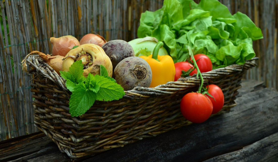 World Food Day: qualità e sostenibilità