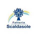 Scaldasole