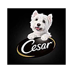 Cesar